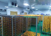 Đặc sản Đà Lạt – hồng treo gió