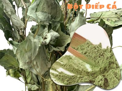 Bột diếp cá