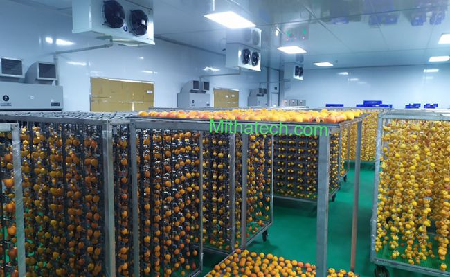 Đặc sản Đà Lạt – hồng treo gió
