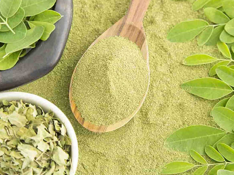 BỘT CHÙM NGÂY BỘT CHÙM NGÂY