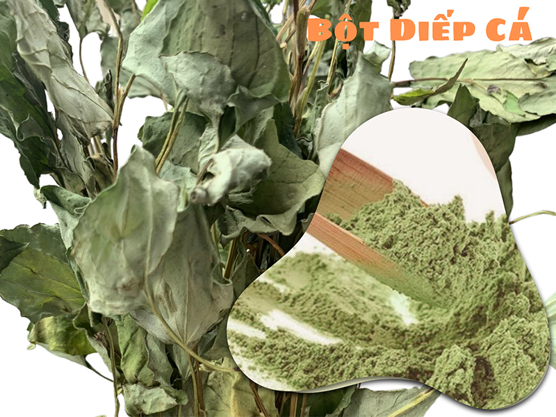 Bột diếp cá Bột diếp cá